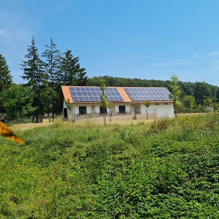 Patakmalom Vendeghaz Otel Döbrönte Dış mekan fotoğraf
